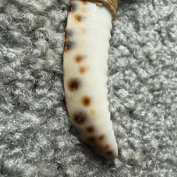 Handmade Beaded Shell Necklace Faux Bone Tooth Pendant & Barrel Clasp - Picture 12 of 16